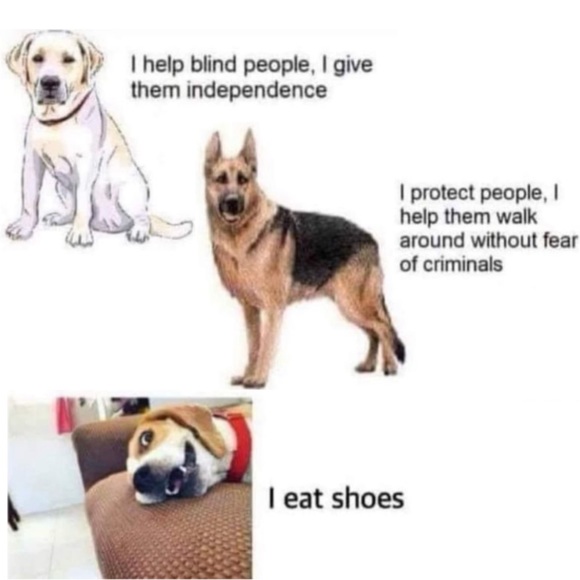 COMMENTS FULL! ๐ฑ SEE NEW LISTING NEXT DOOR! - Picture 10 of 16